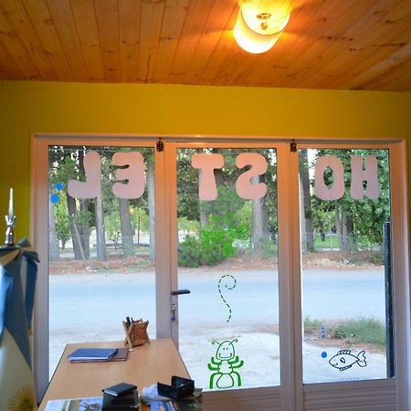 Hostel El Viajante Los Antiguos Εξωτερικό φωτογραφία